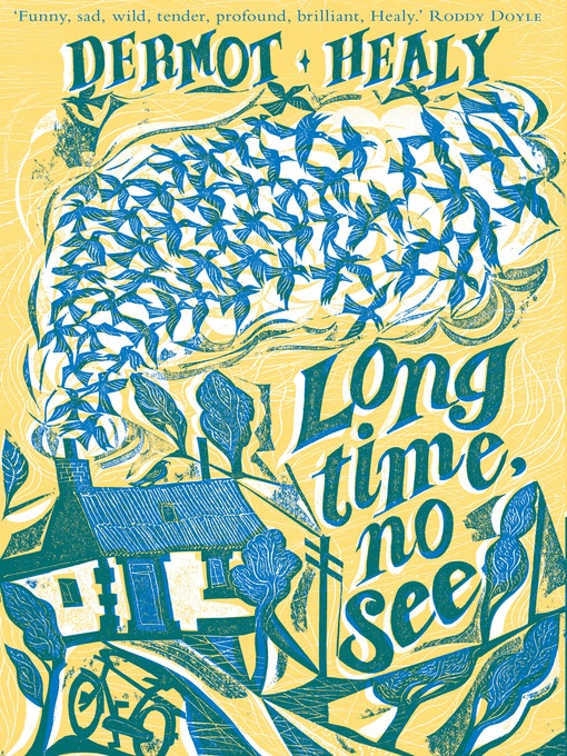 Title details for Long Time, No See by Dermot Healy - Available